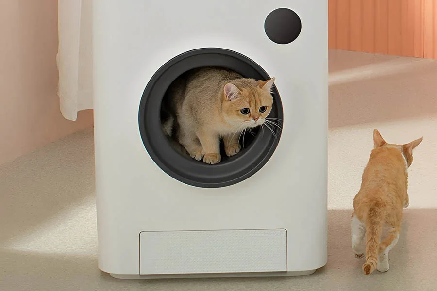litter box for multiple cats